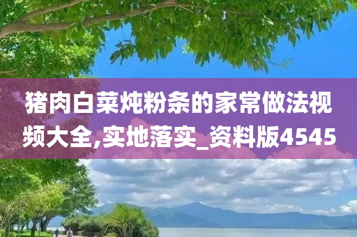 猪肉白菜炖粉条的家常做法视频大全,实地落实_资料版4545