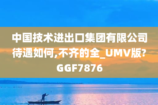 中国技术进出口集团有限公司待遇如何,不齐的全_UMV版?GGF7876