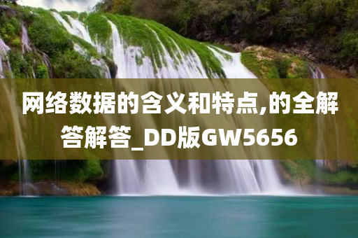 网络数据的含义和特点,的全解答解答_DD版GW5656