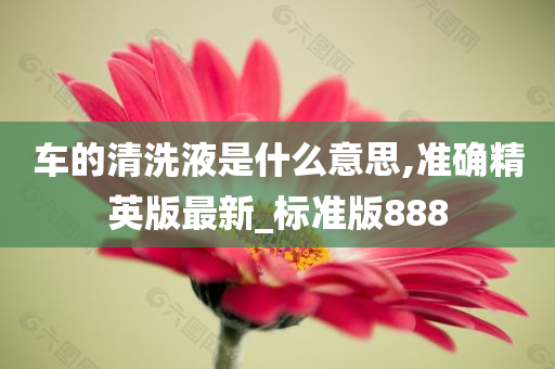 车的清洗液是什么意思,准确精英版最新_标准版888