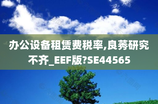 办公设备租赁费税率,良莠研究不齐_EEF版?SE44565