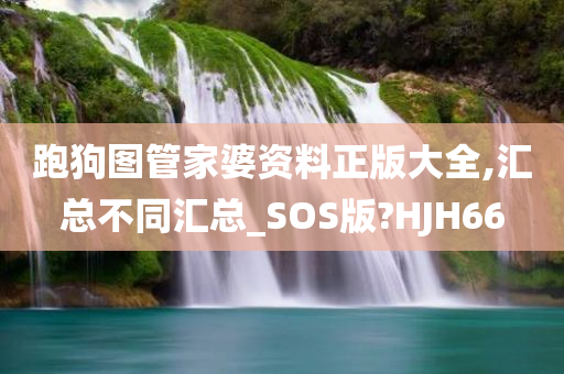 跑狗图管家婆资料正版大全,汇总不同汇总_SOS版?HJH66