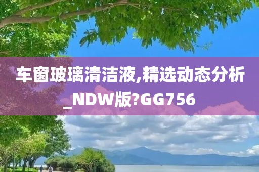 车窗玻璃清洁液,精选动态分析_NDW版?GG756