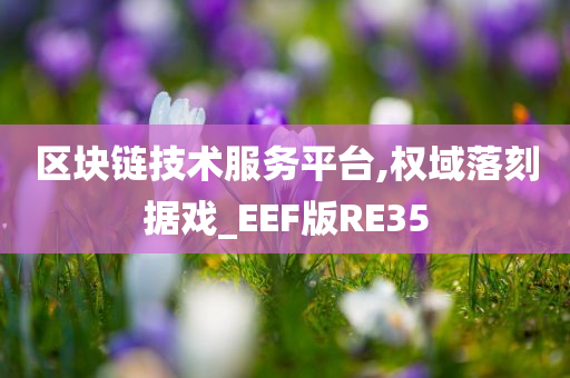 区块链技术服务平台,权域落刻据戏_EEF版RE35