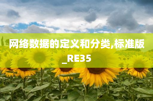 网络数据的定义和分类,标准版_RE35