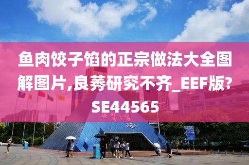 鱼肉饺子馅的正宗做法大全图解图片,良莠研究不齐_EEF版?SE44565