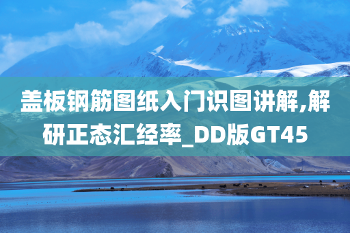 盖板钢筋图纸入门识图讲解,解研正态汇经率_DD版GT45