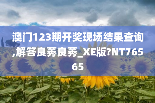 澳门123期开奖现场结果查询,解答良莠良莠_XE版?NT76565