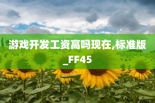 游戏开发工资高吗现在,标准版_FF45