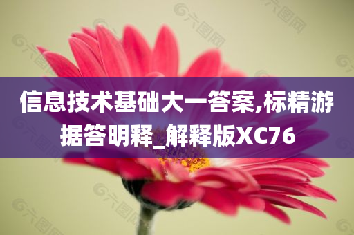 信息技术基础大一答案,标精游据答明释_解释版XC76