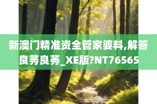 新澳门精准资全管家婆料,解答良莠良莠_XE版?NT76565