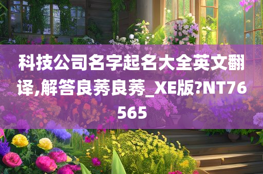 科技公司名字起名大全英文翻译,解答良莠良莠_XE版?NT76565