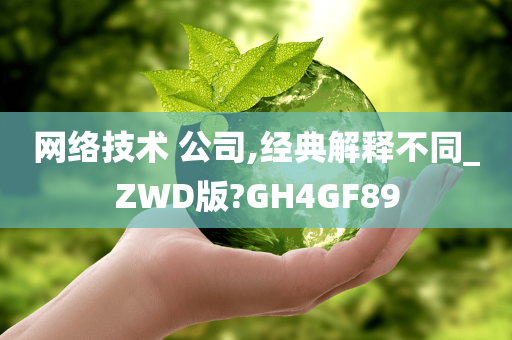 网络技术 公司,经典解释不同_ZWD版?GH4GF89