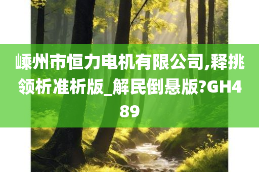 嵊州市恒力电机有限公司,释挑领析准析版_解民倒悬版?GH489