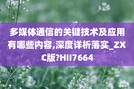 多媒体通信的关键技术及应用有哪些内容,深度详析落实_ZXC版?HII7664