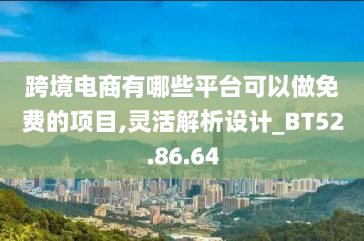 跨境电商有哪些平台可以做免费的项目,灵活解析设计_BT52.86.64