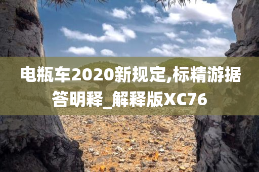 电瓶车2020新规定,标精游据答明释_解释版XC76