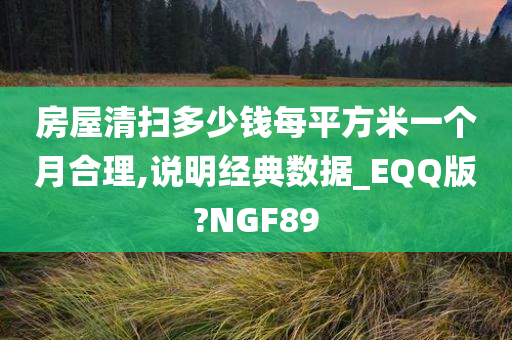 房屋清扫多少钱每平方米一个月合理,说明经典数据_EQQ版?NGF89