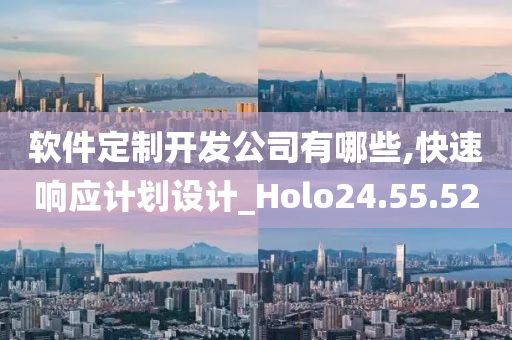 软件定制开发公司有哪些,快速响应计划设计_Holo24.55.52