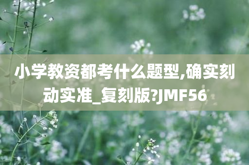 小学教资都考什么题型,确实刻动实准_复刻版?JMF56