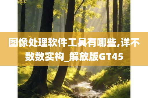 图像处理软件工具有哪些,详不数数实构_解放版GT45