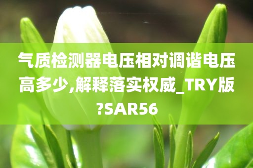 气质检测器电压相对调谐电压高多少,解释落实权威_TRY版?SAR56