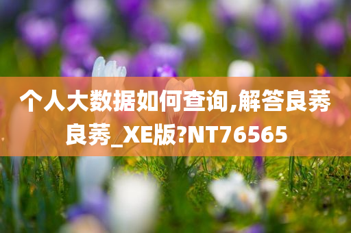 个人大数据如何查询,解答良莠良莠_XE版?NT76565