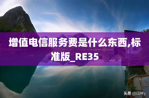 增值电信服务费是什么东西,标准版_RE35