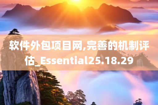 软件外包项目网,完善的机制评估_Essential25.18.29