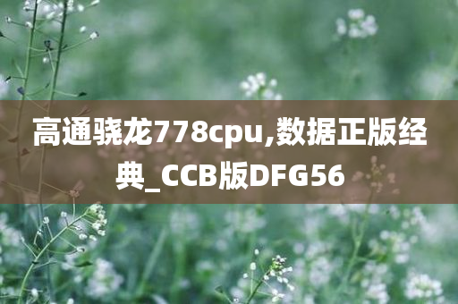 高通骁龙778cpu,数据正版经典_CCB版DFG56