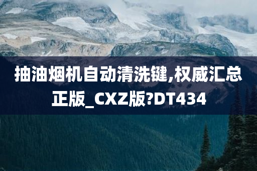 抽油烟机自动清洗键,权威汇总正版_CXZ版?DT434