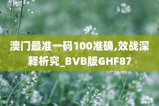 澳门最准一码100准确,效战深释析究_BVB版GHF87