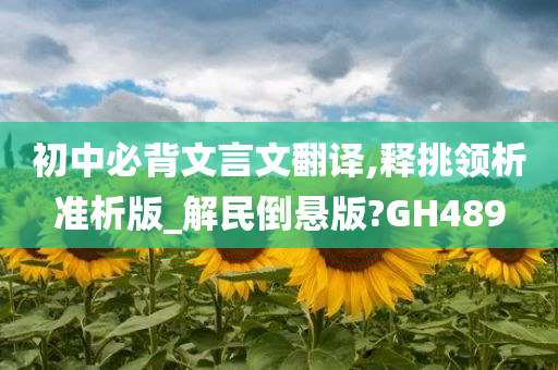 初中必背文言文翻译,释挑领析准析版_解民倒悬版?GH489