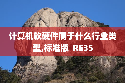 计算机软硬件属于什么行业类型,标准版_RE35