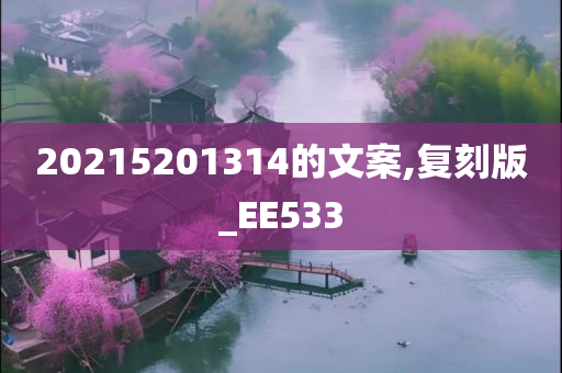 20215201314的文案,复刻版_EE533