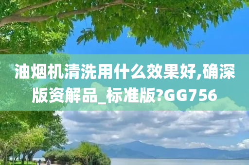 油烟机清洗用什么效果好,确深版资解品_标准版?GG756