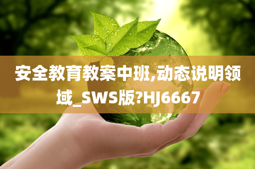 安全教育教案中班,动态说明领域_SWS版?HJ6667