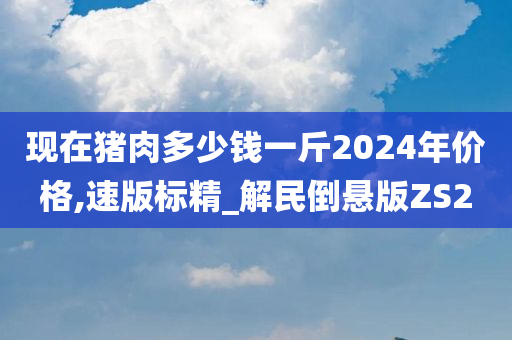 现在猪肉多少钱一斤2024年价格,速版标精_解民倒悬版ZS2