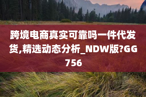 跨境电商真实可靠吗一件代发货,精选动态分析_NDW版?GG756