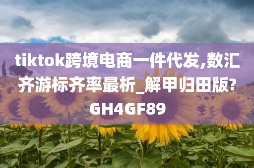 tiktok跨境电商一件代发,数汇齐游标齐率最析_解甲归田版?GH4GF89