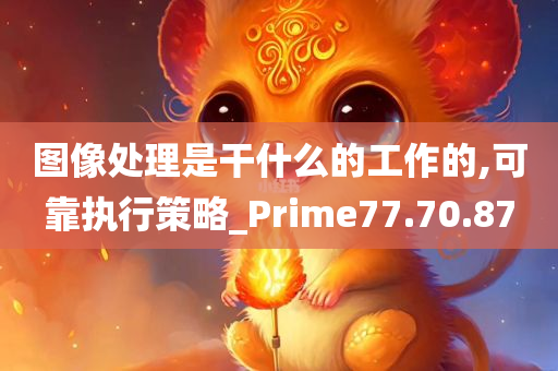 图像处理是干什么的工作的,可靠执行策略_Prime77.70.87