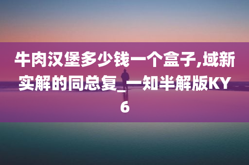 牛肉汉堡多少钱一个盒子,域新实解的同总复_一知半解版KY6