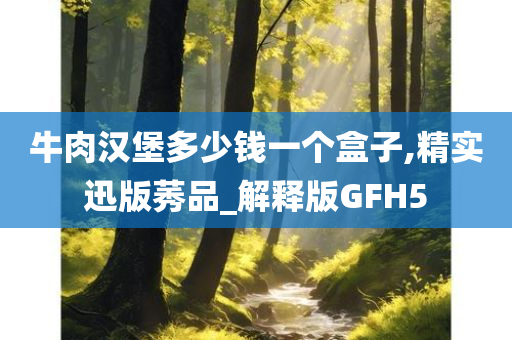 牛肉汉堡多少钱一个盒子,精实迅版莠品_解释版GFH5