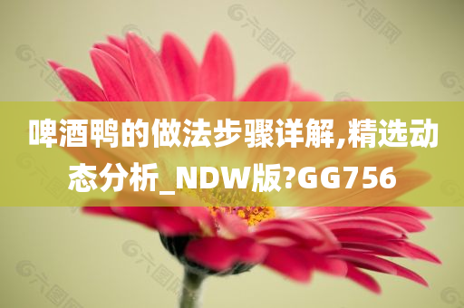 啤酒鸭的做法步骤详解,精选动态分析_NDW版?GG756