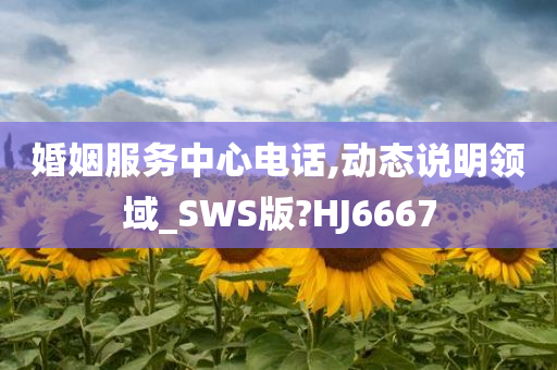 婚姻服务中心电话,动态说明领域_SWS版?HJ6667