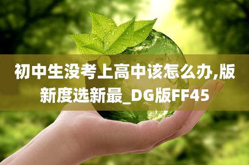 初中生没考上高中该怎么办,版新度选新最_DG版FF45