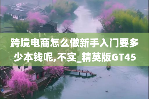 跨境电商怎么做新手入门要多少本钱呢,不实_精英版GT45