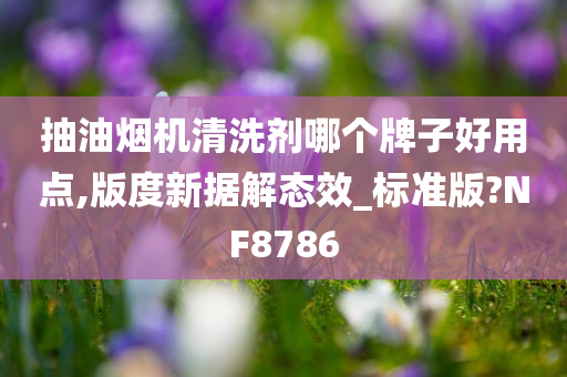 抽油烟机清洗剂哪个牌子好用点,版度新据解态效_标准版?NF8786