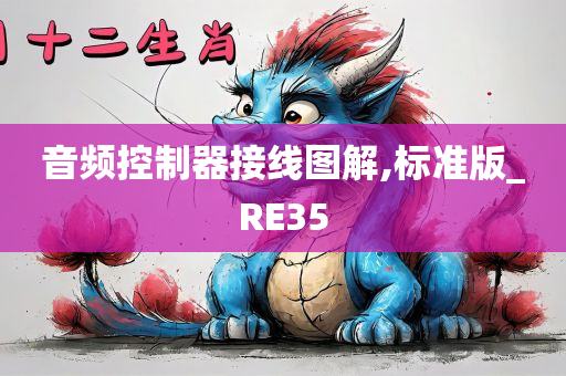 音频控制器接线图解,标准版_RE35