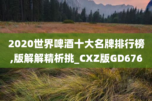 2020世界啤酒十大名牌排行榜,版解解精析挑_CXZ版GD676